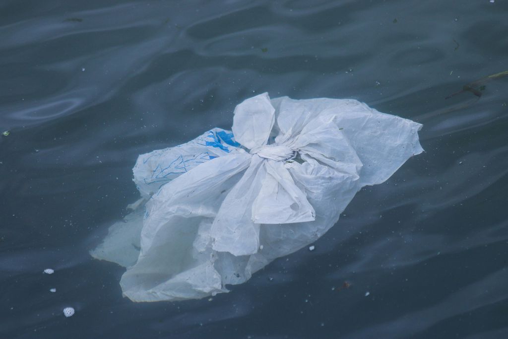 Bactéria transforma sacola plástica em material tão resistente quanto o Klevar (Imagem: Brian Yurasits/Unsplash)