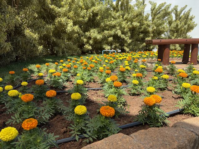 iPhone Air - Câmera traseira