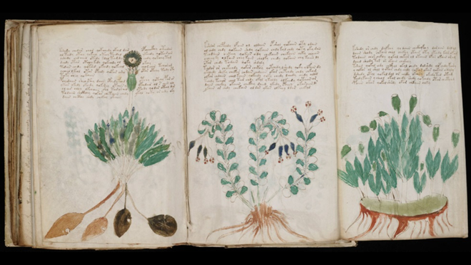 Ninguém entende o manuscrito Voynich. Foto: Biblioteca Beinecke/Universidade de Yale