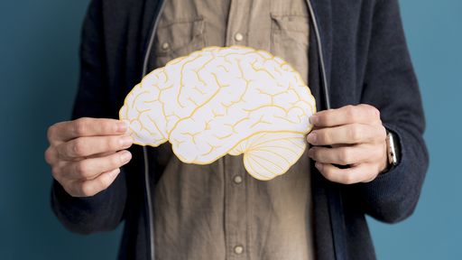 "Fascinante"! Estudo descobre como funciona o cérebro de uma pessoa bilíngue