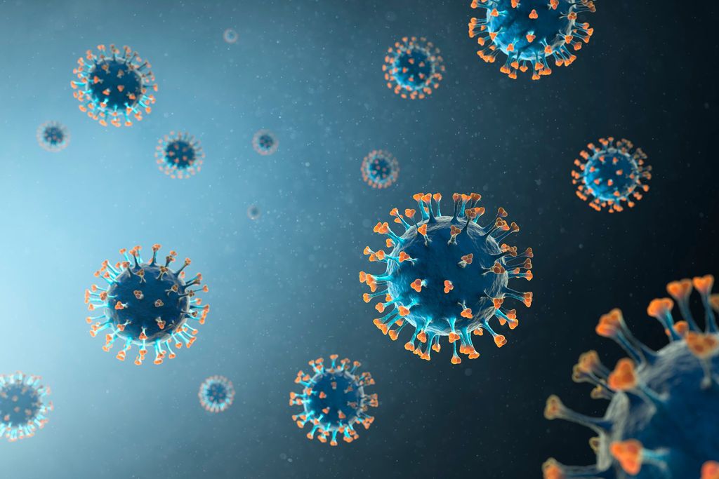 Na batalha contra o coronavírus, cientistas buscam soluções