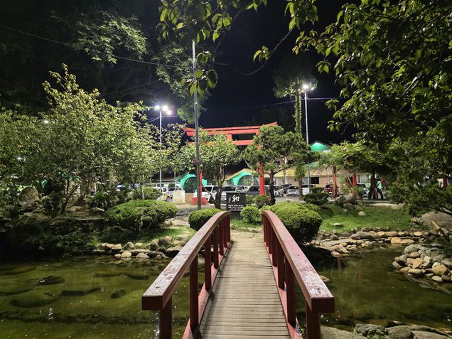 Galaxy S25 Ultra - Teste de câmeras/modo noturno