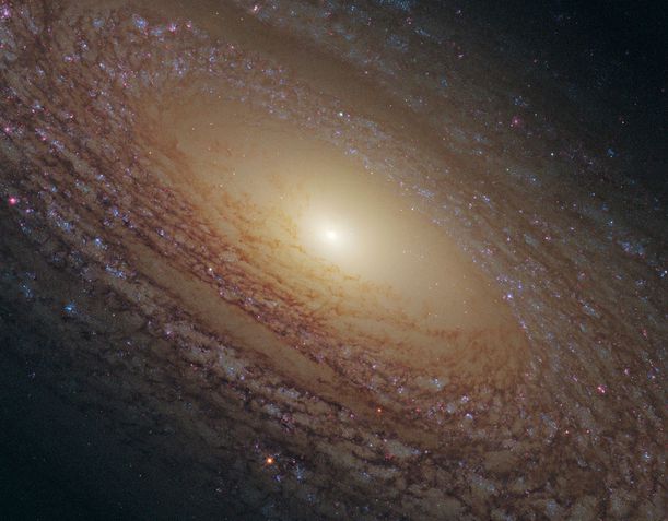 22. NGC 2841: espiral silenciosa