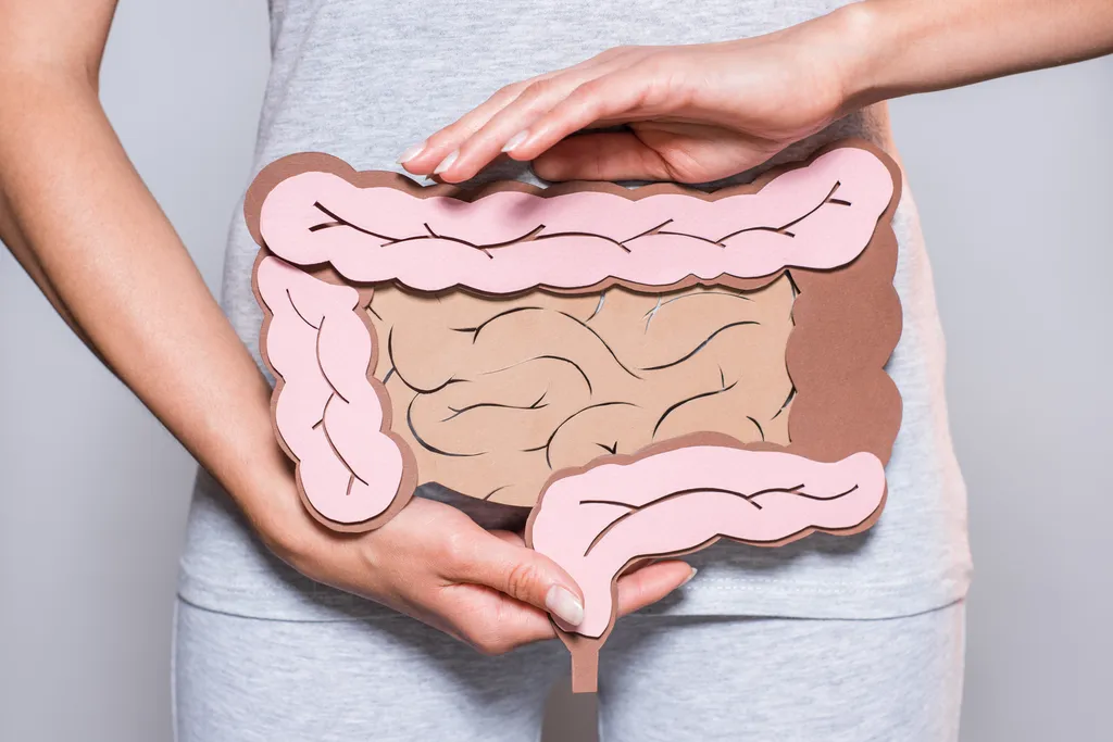 O microbioma intestinal é um elemento muito sensível do nosso corpo: não metabolizar elementos como a fenilalanina pode causa inúmeros problemas, inclusive no cérebro (Imagem: LightFieldStudios/envato)