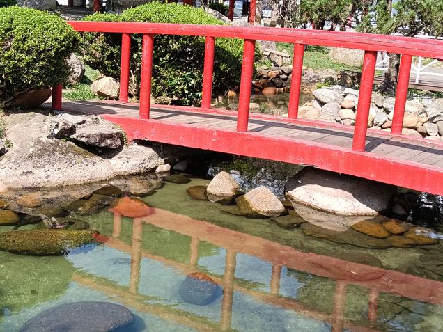 Fotos tiradas com o Oppo A5 Pro