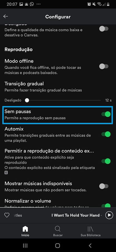 Sem Pausas: recurso do Spotify permite ouvir músicas sem parar (Captura de tela: Ariane Velasco)