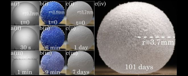 Da esquerda para a direita: bolhas de sabão; bolhas de gás à base de água; e bolhas de gás água-glicerol (Roux et al., Phys. Rev. Fluids, 2022)