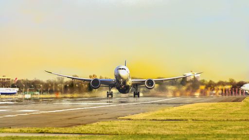Avião que transportava vacinas contra COVID na Bahia bateu... em jumentos