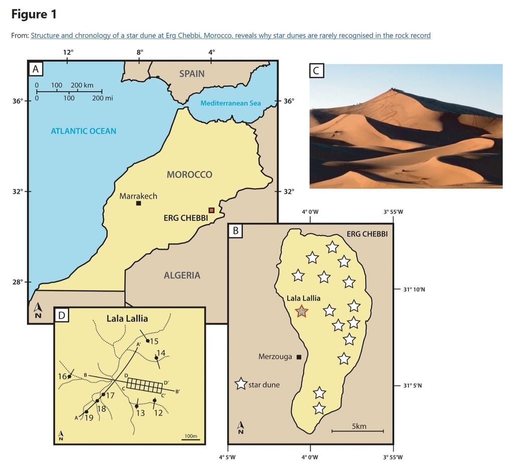 (Image: Bristow et al., 2024/Scientific Reports)