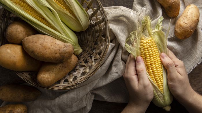 Como neandertais e humanos evoluíram para comer alimentos com amido