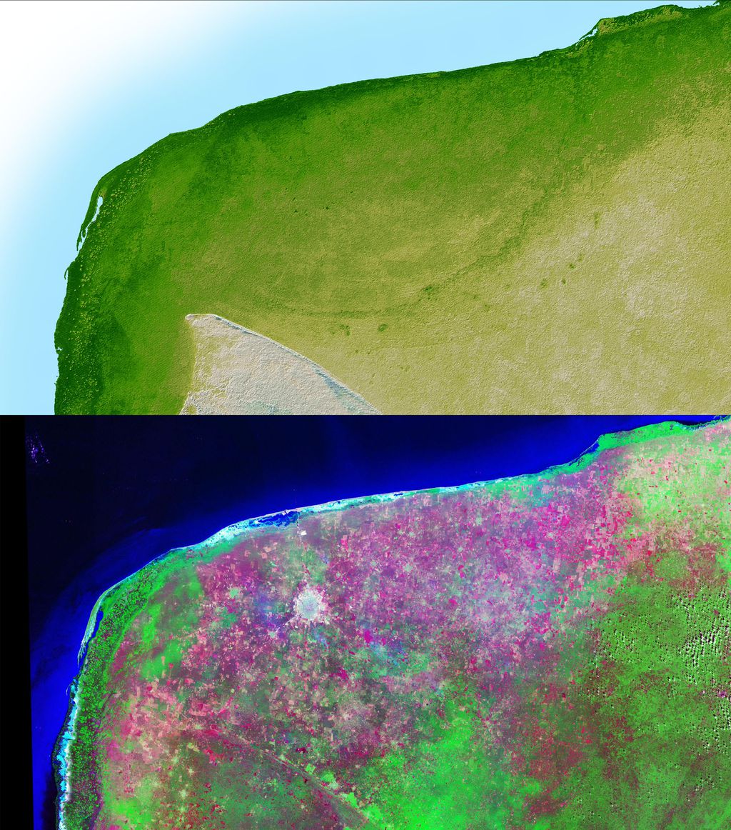 Chicxulub Crater, on the Yucatán Peninsula, seen in infrared images (Image: Shuttle Radar Topography Mission/Public Domain)