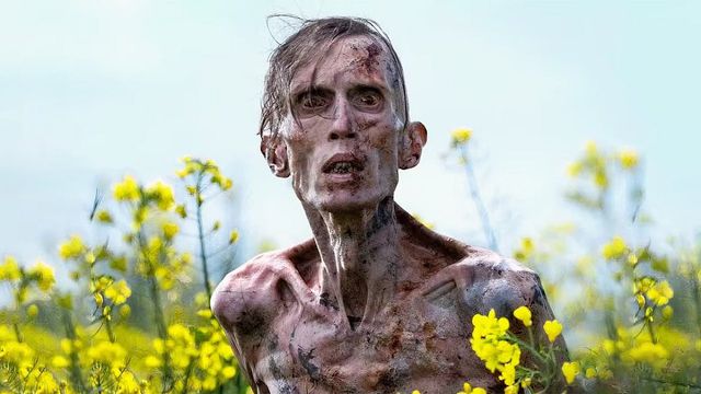 Divulgação/Sony Pictures Releasing