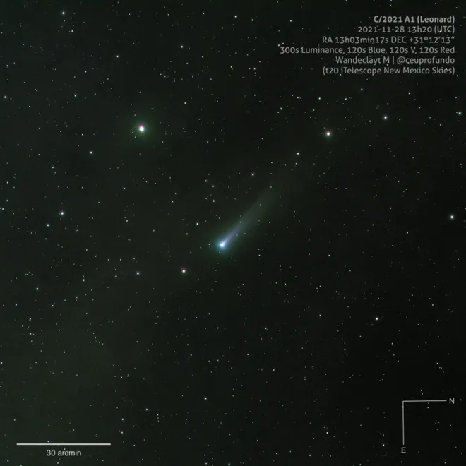Registro do cometa Leonard feito pelo projeto brasileiro Céu Profundo em novembro de 2021 (Imagem: Reprodução/Wandeclayt M./Céu Profundo/Telescope New Mexico Skies)