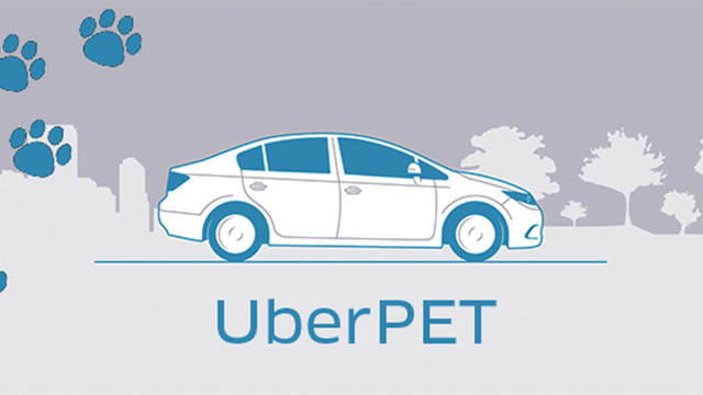 Uber vai desativar o serviço UberPet no Brasil