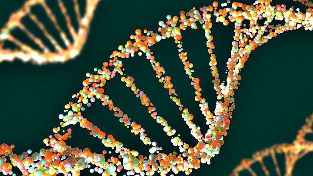 Novo estudo sobre CRISPR apresenta novos riscos sobre a técnica genética
