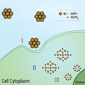 Nanopartículas de silício Nanopartículas de silício