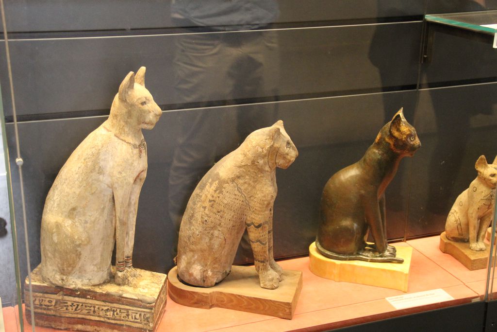 Gatos mumificados no Egito Antigo, bem como pinturas deles, mostram que os antigos egípcios já haviam domesticado os animais e os levavam em alta consideração (Imagem: Gary Todd/CC-BY-1.0)