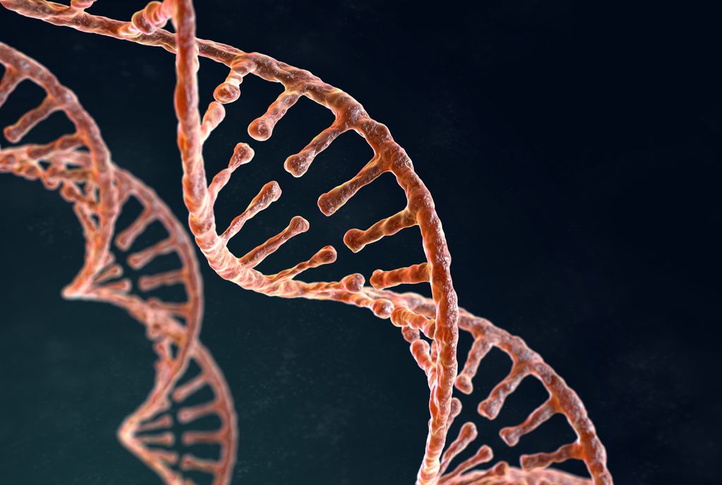Genoma humano é sequenciado de forma completa pela primeira vez, diz estudo
