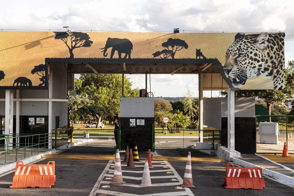 O Zoológico de Brasília seguirá fechado até a confirmação de que não há riscos de contaminação das aves, mediante análise laboratorial (Imagem: Joédson Alves/Agência Brasil)