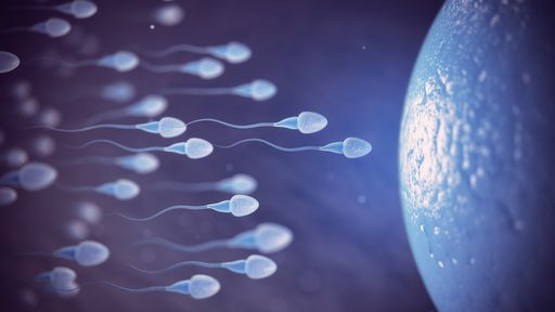 Coronavírus pode reduzir testosterona e enfraquecer espermatozoide, diz estudo
