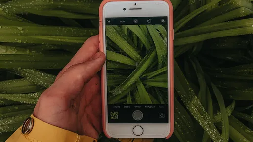 4 apps para identificar plantas por fotos