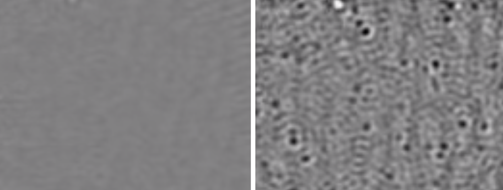 Em imagem comprativa do experimento de Harvard, o primeiro quadro apresenta a fase inicial e, no segundo, já é possível identificar o agrupamento de vírus