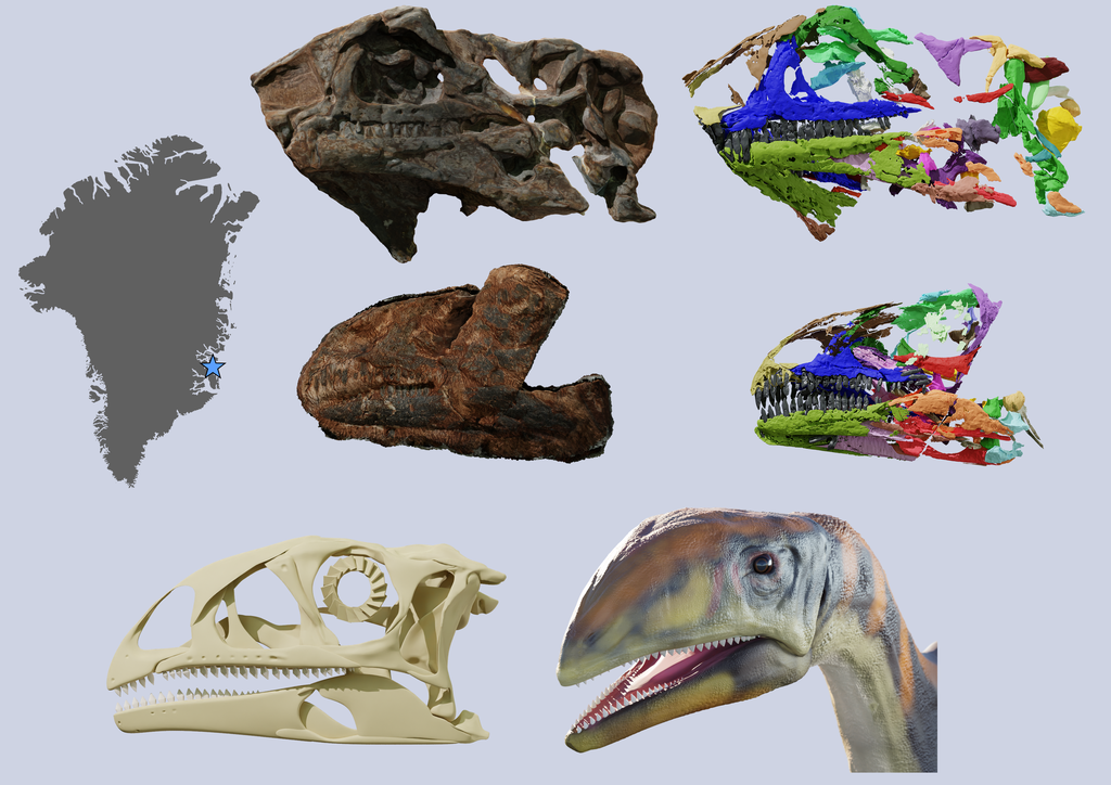 Espécie de dinossauro "osso frio" é descoberta onde hoje é a Groenlândia