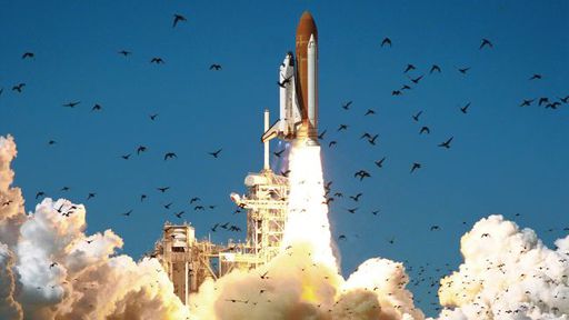 Conheça a história da tragédia do Challenger, que virou série da Netflix