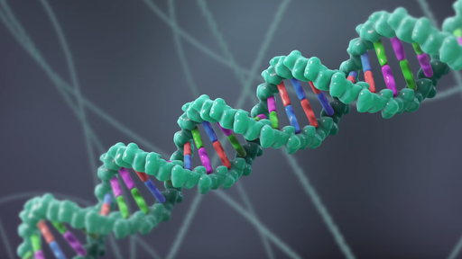 Técnica de manipulação genética CRISPR pode ser usada primeira vez em humanos