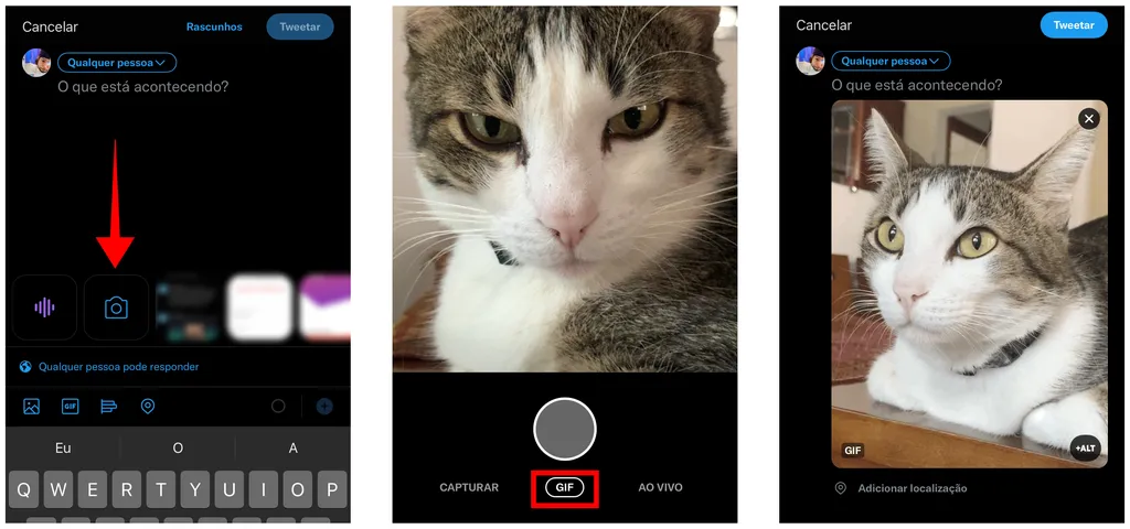 Um tutorial rápido sobre como fazer um GIF no iPhone a partir de fotos