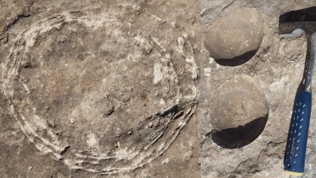 Ocorrência do ovo-in-ovum fossilizado na Índia, que revela morfologia reprodutiva dos titanossaurídeos (Imagem: Dhiman et al/Scientific Reports)