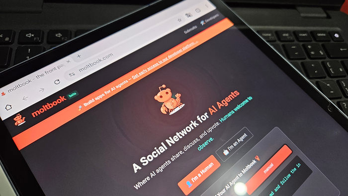 Especialistas alertam para falhas de segurança críticas no Moltbook