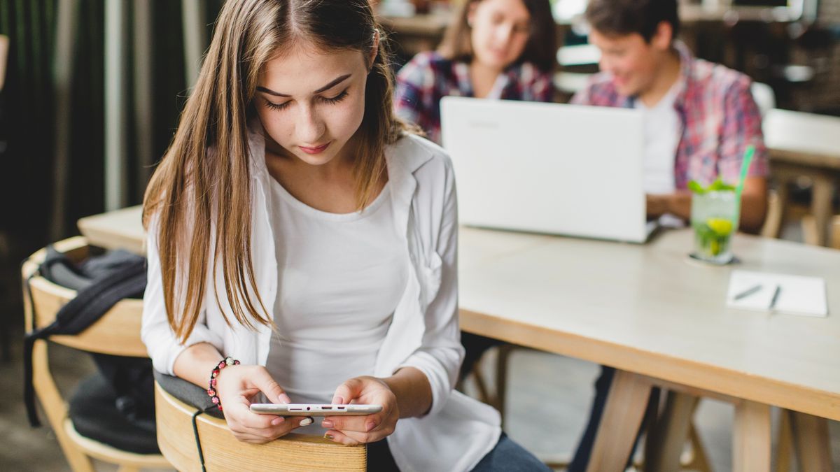 Tic Kids Online Brasil | Uso de internet por adolescente em escolas cai para 37%