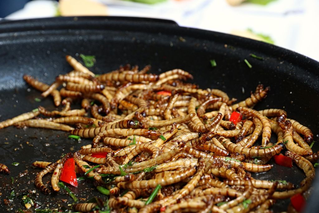 Dieta rica em insetos pode ajudar pessoas que buscam controlar o peso (Imagem: Katerinavulcova/Pixabay)