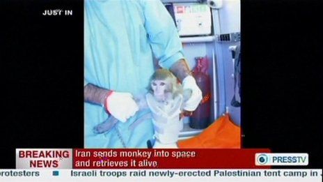 Irã envia macaco para o espaço