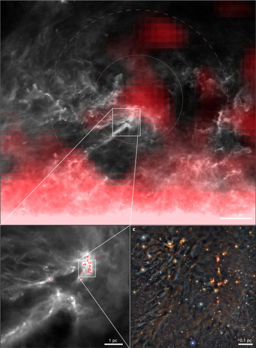 Observações da região de formação estelar de Ophiuchus em vários comprimentos de onda diferentes (Imagem: Reprodução/Forbes/Nature Astronomy)