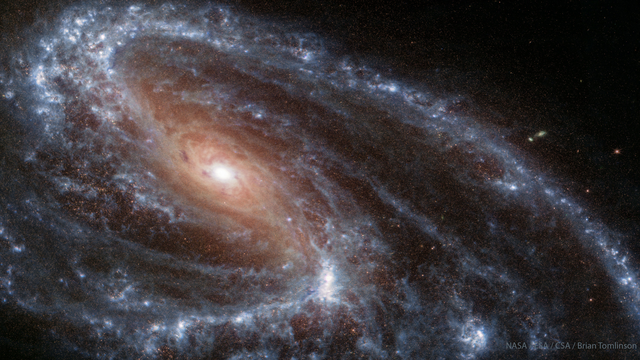 NASA, ESA, CSA, JWST; Brian Tomlinson