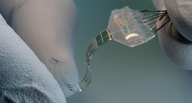 Implante cerebral flexível usado em laboratório para tratar paralisia motora em roedores (Via ScienceNews)