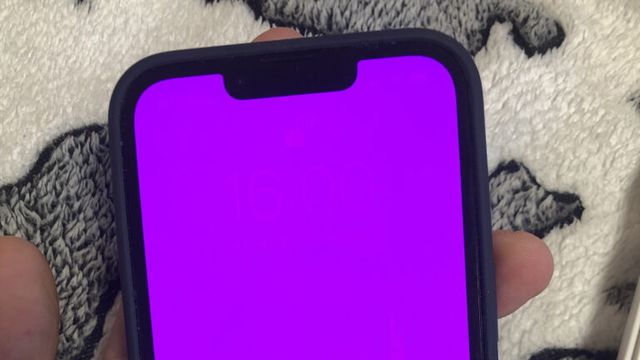 Apple Support Community/DPigar