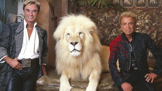 (Imagem: Reprodução/Wikimedia Commons/Uso Livre)