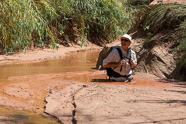 Areia movediça no Parque Nacional dos Arcos, no estado de Utah, nos EUA (Imagem: Reprodução/Arches National Park)