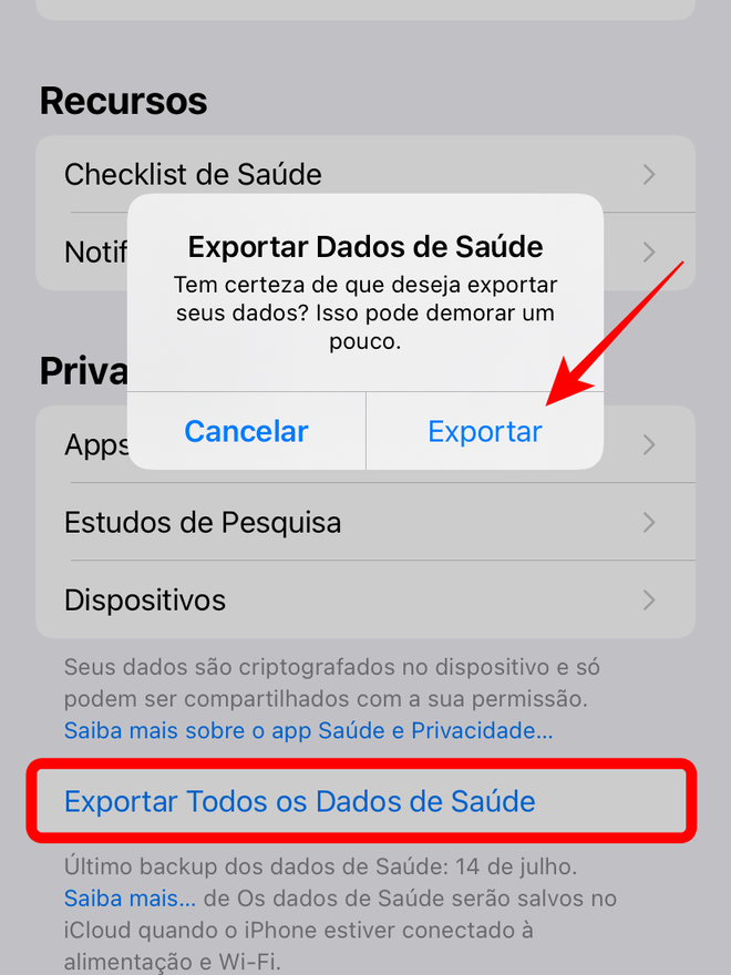 Exporte os dados do app Saúde para compartilhá-los no iPhone - Captura de tela: Thiago Furquim (Canaltech)