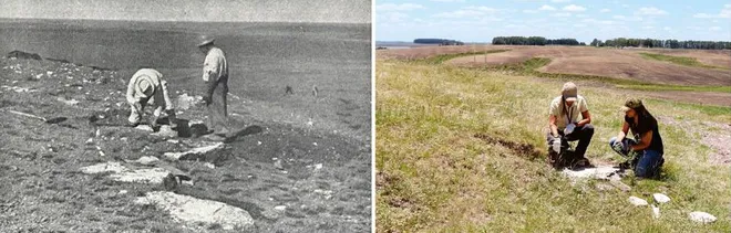 À esquerda, sítio de Cerro Chato em 1951; à direita, após a redescoberta de 2019 (Imagem: Ferraz et al./Paleontologia em Destaque)