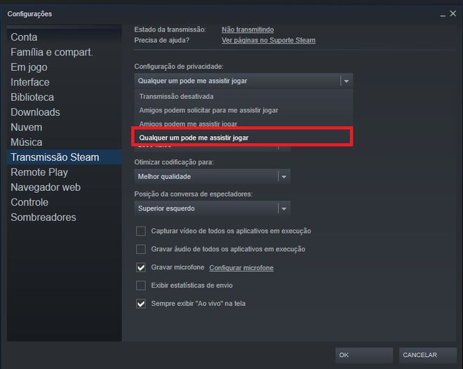 Como configurar e iniciar uma transmissão na Steam - Canaltech