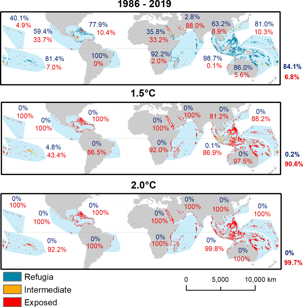 Com 2 °C de aquecimento global, nenhum refúgio térmico para os corais resistirá (Imagem: Reprodução/Adele M. Dixon et al.)