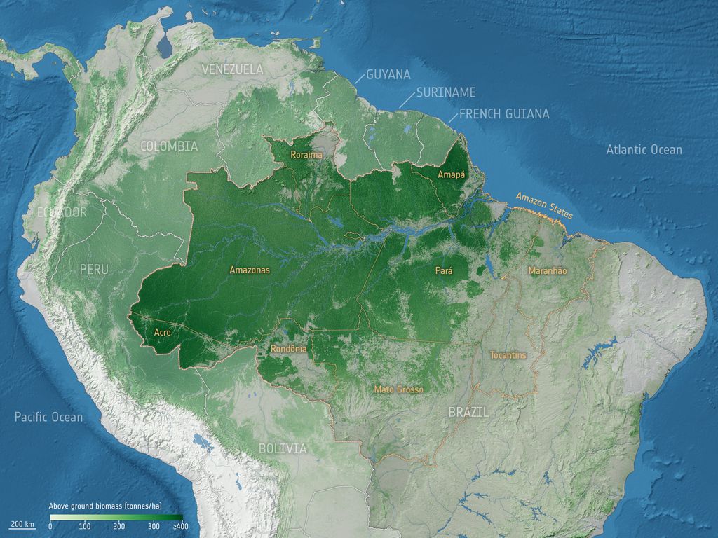 O mapa revela a grande perda da biomassa da Floresta Amazônica nos últimos anos, provocada pelo desmatamento e incêndios florestais (Imagem: Reprodução/ESA)