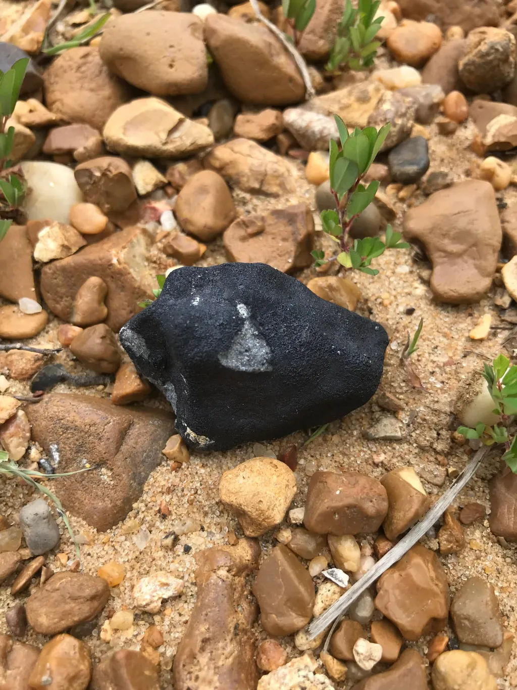 Meteorito encontrado no Mississipi, nos Estados Unidos, em. maio de 2022 (Imagem: NASA/Linda Welzenbach Fries)