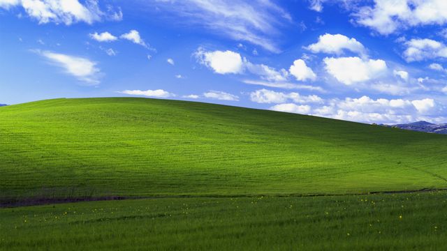 Windows XP volta a ganhar market share em junho