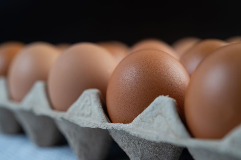 Há riscos no consumo de ovos crus, como a Salmonella (Imagem: Reprodução/Jcomp/Envato Elements)