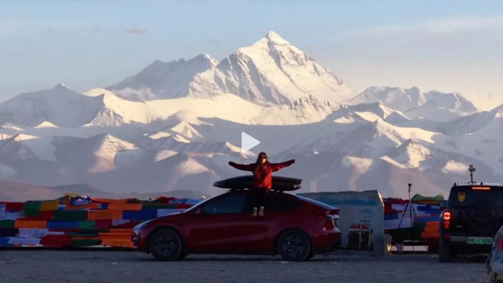 Tesla Model Y 